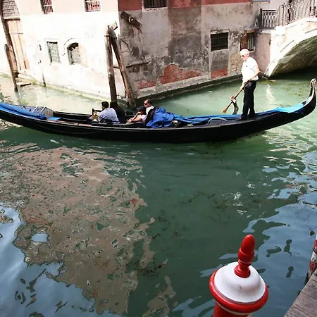 All'angelo Art Venecia